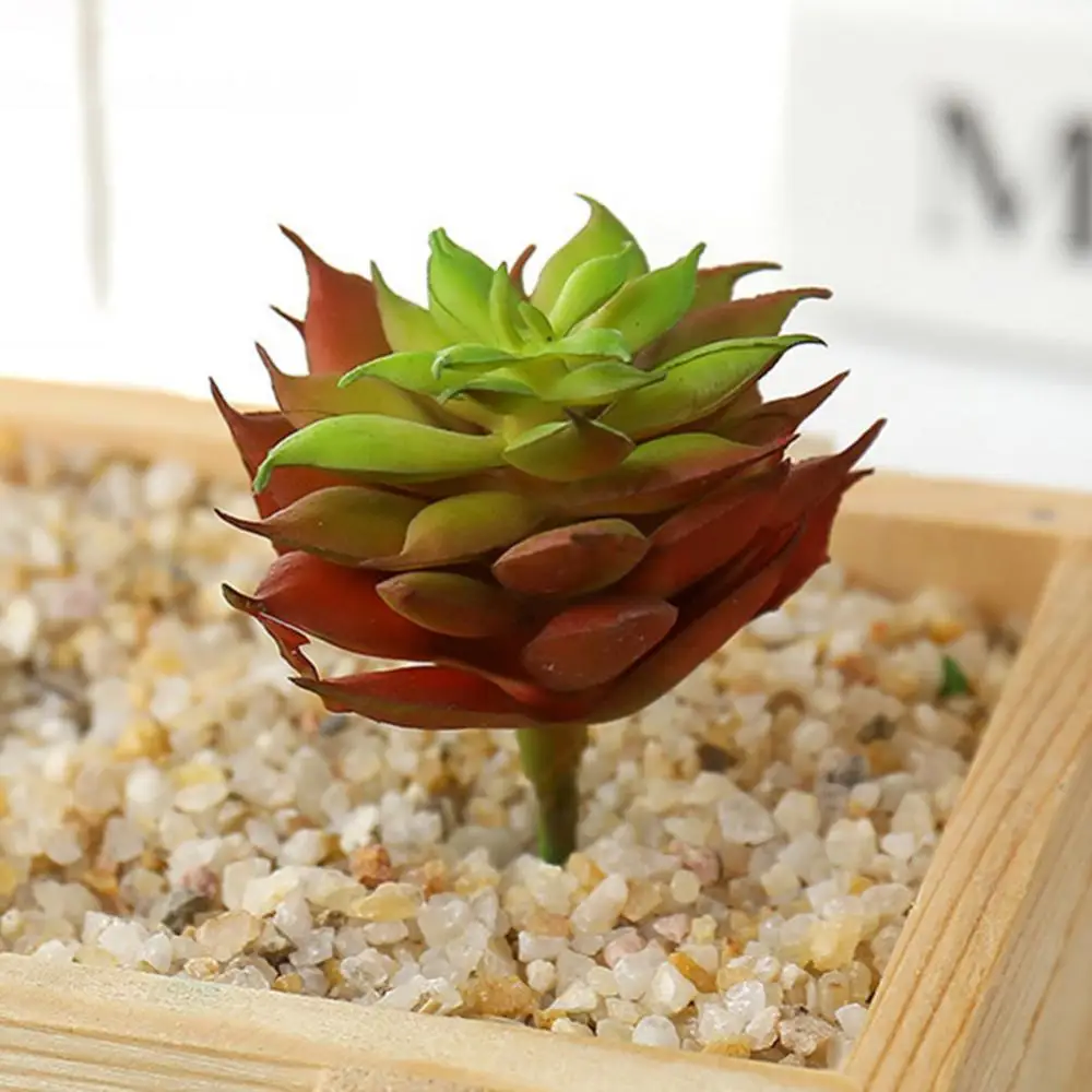 Mini Small Medium Large Green Artificial Succulents Plants Bonsai Home Garden Bathroom Christmas Wedding Decoration Fake Plants
Mini Small Medium Large Green Artificial Succulents Plants Bonsai Home Garden Bathroom Christmas Wedding Decoration Fake Plants