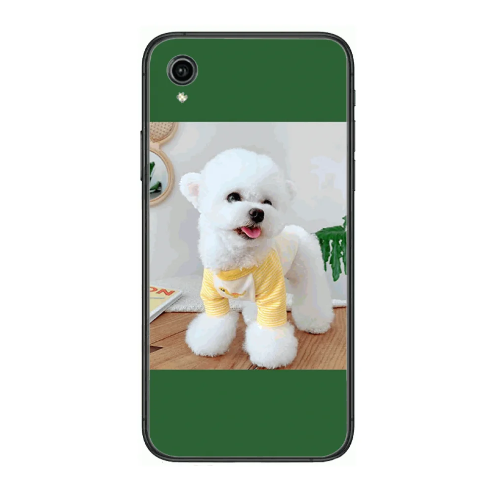 Cute pomeranian Style Phone Cases cover For VIVO X50 30 Y97 91 93 85 83 81 79 73 V 17 15 9 S7 U3X black Covers 
Cute pomeranian Style Phone Cases cover For VIVO X50 30 Y97 91 93 85 83 81 79 73 V 17 15 9 S7 U3X black Covers