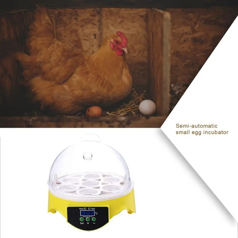 7 Eggs Incubator Bird Egg Incubator Semi-automatic Miniature Egg Incubator Pigeon Household Incubators
7 Eggs Incubator Bird Egg Incubator Semi-automatic Miniature Egg Incubator Pigeon Household Incubators