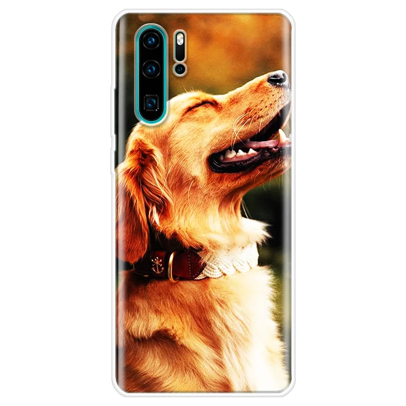 Golden Retriever Soft Case For Huawei Y5 Y6 Y7 P40 Lite P10 P20 P30 Pro P Smart Z Mate 20 Lite Back Cover For Honor 8S 10 20 Lit
Golden Retriever Soft Case For Huawei Y5 Y6 Y7 P40 Lite P10 P20 P30 Pro P Smart Z Mate 20 Lite Back Cover For Honor 8S 10 20 Lit