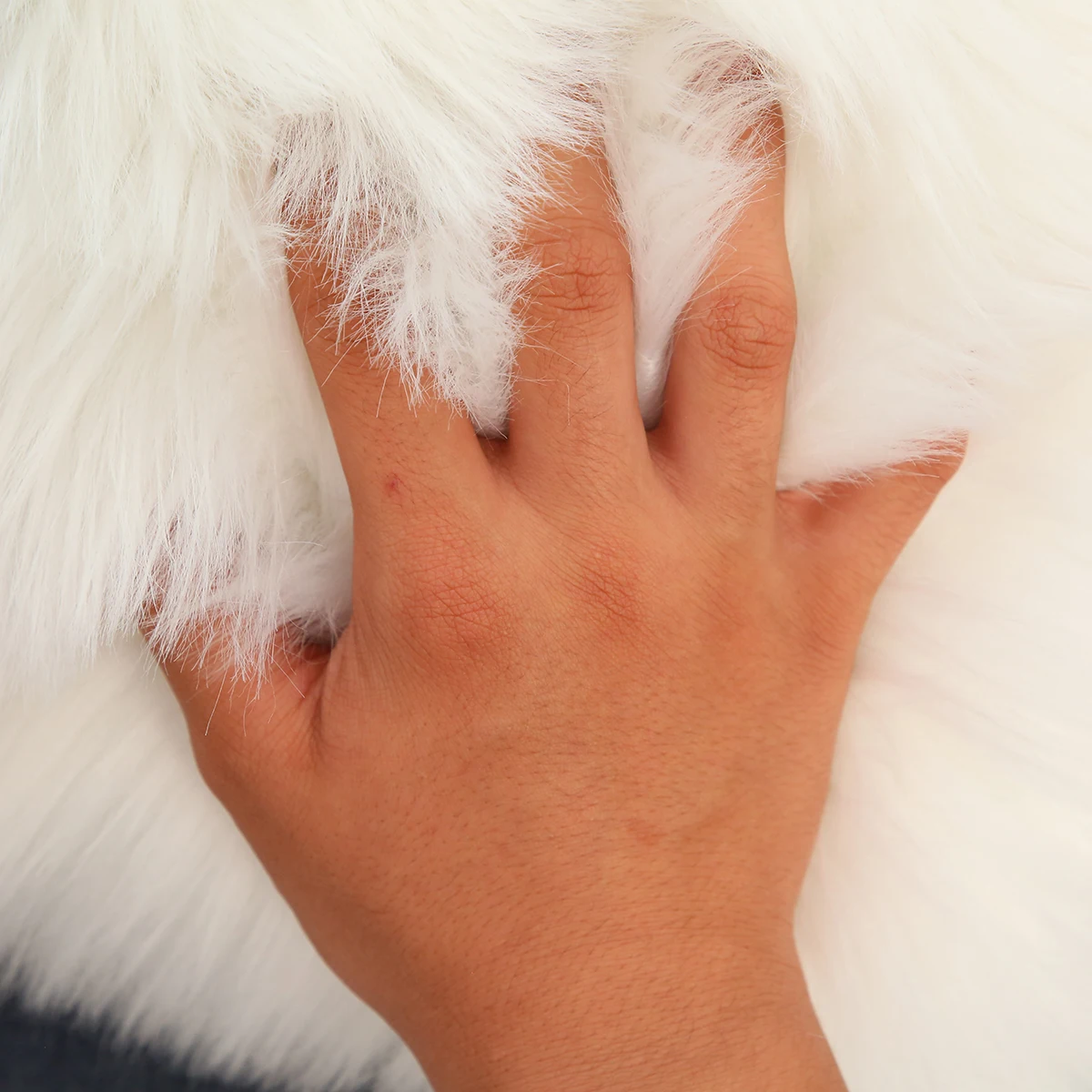 New Artificial Wool Fur Sheepskin Cushion Cover Pillow Cover Contrast Color Soft Plush Shaggy Cushion Cover Sofa for Home D30 
New Artificial Wool Fur Sheepskin Cushion Cover Pillow Cover Contrast Color Soft Plush Shaggy Cushion Cover Sofa for Home D30