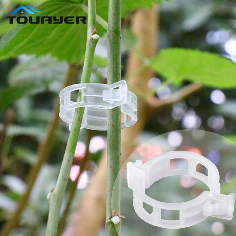50PCS plant clip plastic plant clip support connection protection grafting fixing tool grape vine clip gardening supplies
50PCS plant clip plastic plant clip support connection protection grafting fixing tool grape vine clip gardening supplies