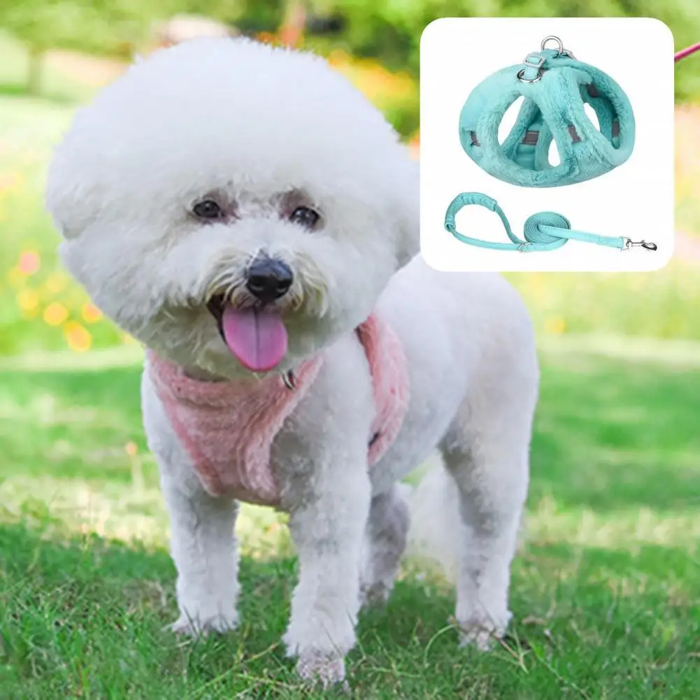 Practical Pet Leashes Set Anti-pull Dogs Chest Strap Traction Leash Kit Pet Harness Leash Pet Traction Rope 2Pcs/Set
Practical Pet Leashes Set Anti-pull Dogs Chest Strap Traction Leash Kit Pet Harness Leash Pet Traction Rope 2Pcs/Set