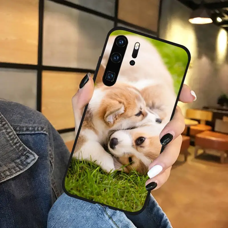 Cute animal Corgi dog Phone Cases For Huawei honor Mate P 9 10 20 30 40 Pro 10i 7 8 a x Lite nova 5t 
Cute animal Corgi dog Phone Cases For Huawei honor Mate P 9 10 20 30 40 Pro 10i 7 8 a x Lite nova 5t