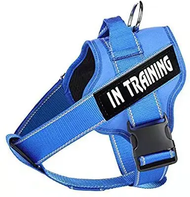 New pet products dog chest strap medium size dog traction rope dog rope dog chain
New pet products dog chest strap medium size dog traction rope dog rope dog chain