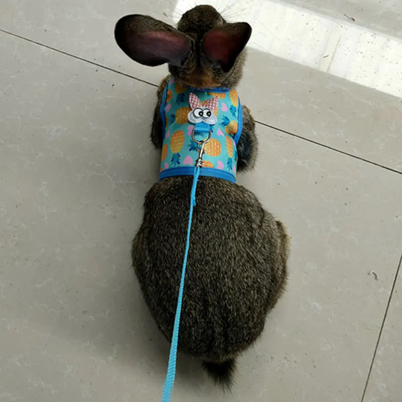 Rabbit Harness And Leash Set Comfortable Pet Supplies Pet Chest Back Rope Bow Cute Adjustable Traction Rope For Small Dog Cats
Rabbit Harness And Leash Set Comfortable Pet Supplies Pet Chest Back Rope Bow Cute Adjustable Traction Rope For Small Dog Cats