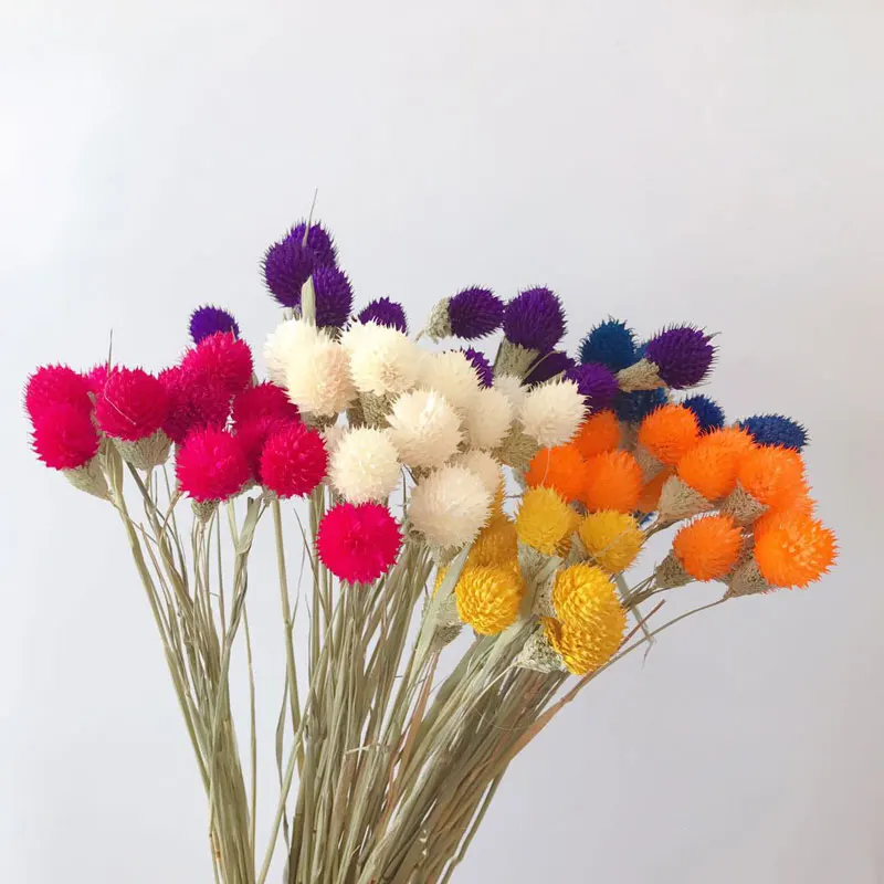 Strawberry fruit dried flower dried flower immortal simulation hand dried flower bouquet with flower home holiday decoration
Strawberry fruit dried flower dried flower immortal simulation hand dried flower bouquet with flower home holiday decoration