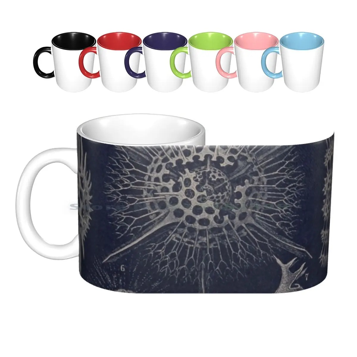 

Vintage Radiolaria Ceramic Mugs Coffee Cups Milk Tea Mug Chart Diagram Vintage Science Vintage Biology Black And White Nature