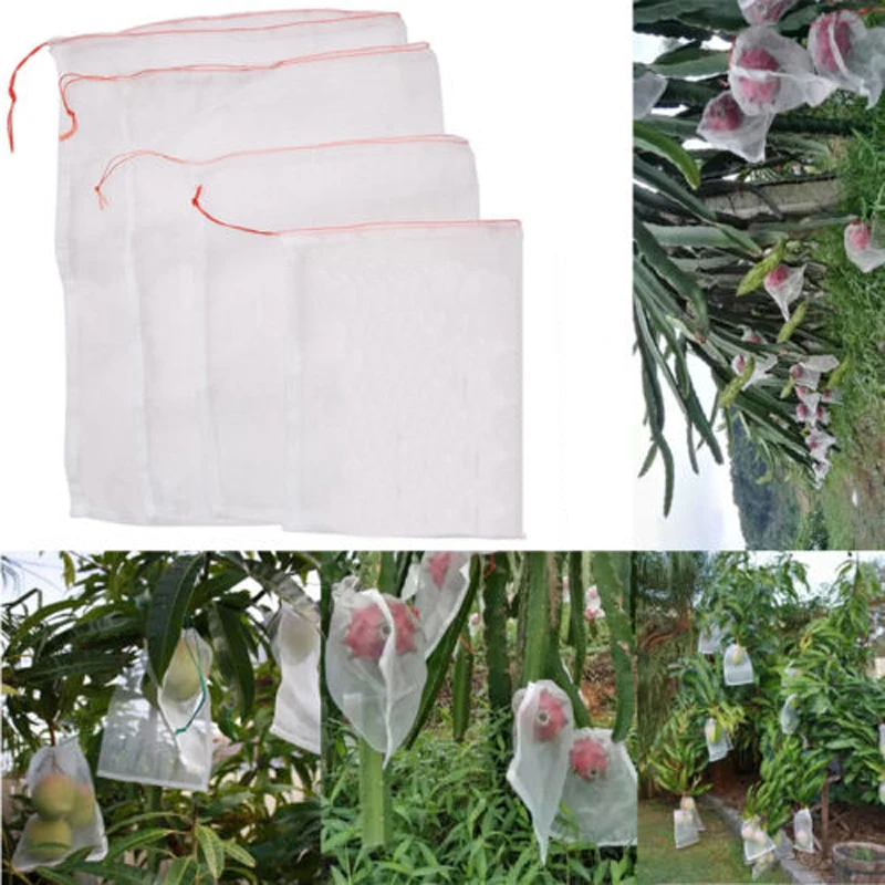 50Pcs Set Garden Plant Fruit Protect Drawstring Mesh Net Bag Anti Bird Netting Home Gardening White Nylon Net Insect Proof Bag
50Pcs Set Garden Plant Fruit Protect Drawstring Mesh Net Bag Anti Bird Netting Home Gardening White Nylon Net Insect Proof Bag