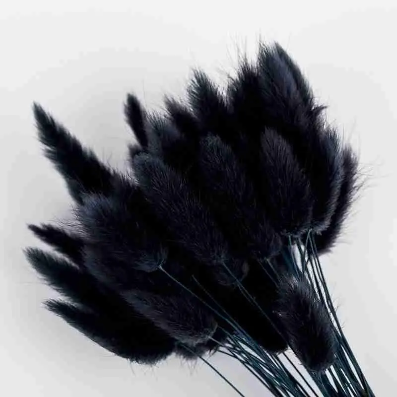 10pcs Real Reed Pampas Grass Natural Plants Rabbit Tail Grass Home Decor Dried Flowers Phragmites Marriage Party Accessories
10pcs Real Reed Pampas Grass Natural Plants Rabbit Tail Grass Home Decor Dried Flowers Phragmites Marriage Party Accessories