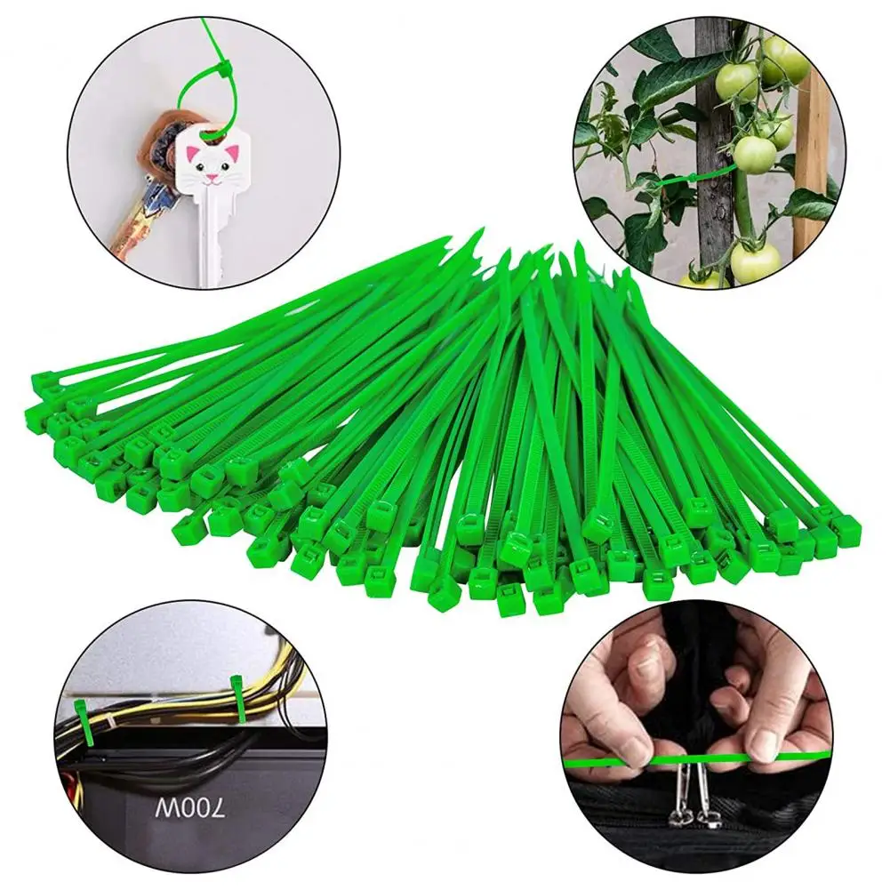 50Pcs Twist Ties Adjustable Self-locking Plastic Garden Flower Wires Set for Plants
50Pcs Twist Ties Adjustable Self-locking Plastic Garden Flower Wires Set for Plants