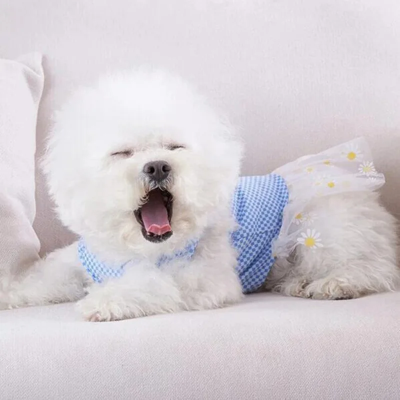 Летнее газовое платье для собак и кошек
Летнее газовое платье для собак и кошек