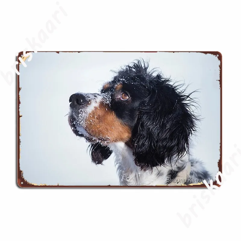 English Setter 2 Poster Metal Plaque Create Wall Cave Mural Painting Party Tin Sign Posters
English Setter 2 Poster Metal Plaque Create Wall Cave Mural Painting Party Tin Sign Posters