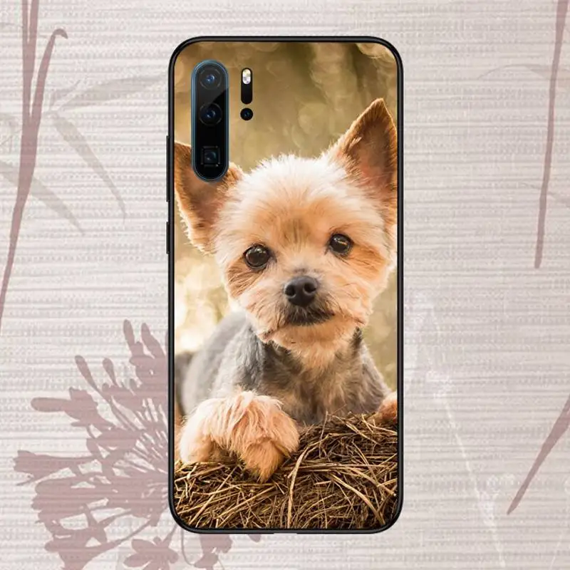 YorkshireTerrierdog Phone Case For Huawei P20 P30 P40 lite Pro P Smart 2019 Mate 10 20 Lite Pro Nova 5t
YorkshireTerrierdog Phone Case For Huawei P20 P30 P40 lite Pro P Smart 2019 Mate 10 20 Lite Pro Nova 5t