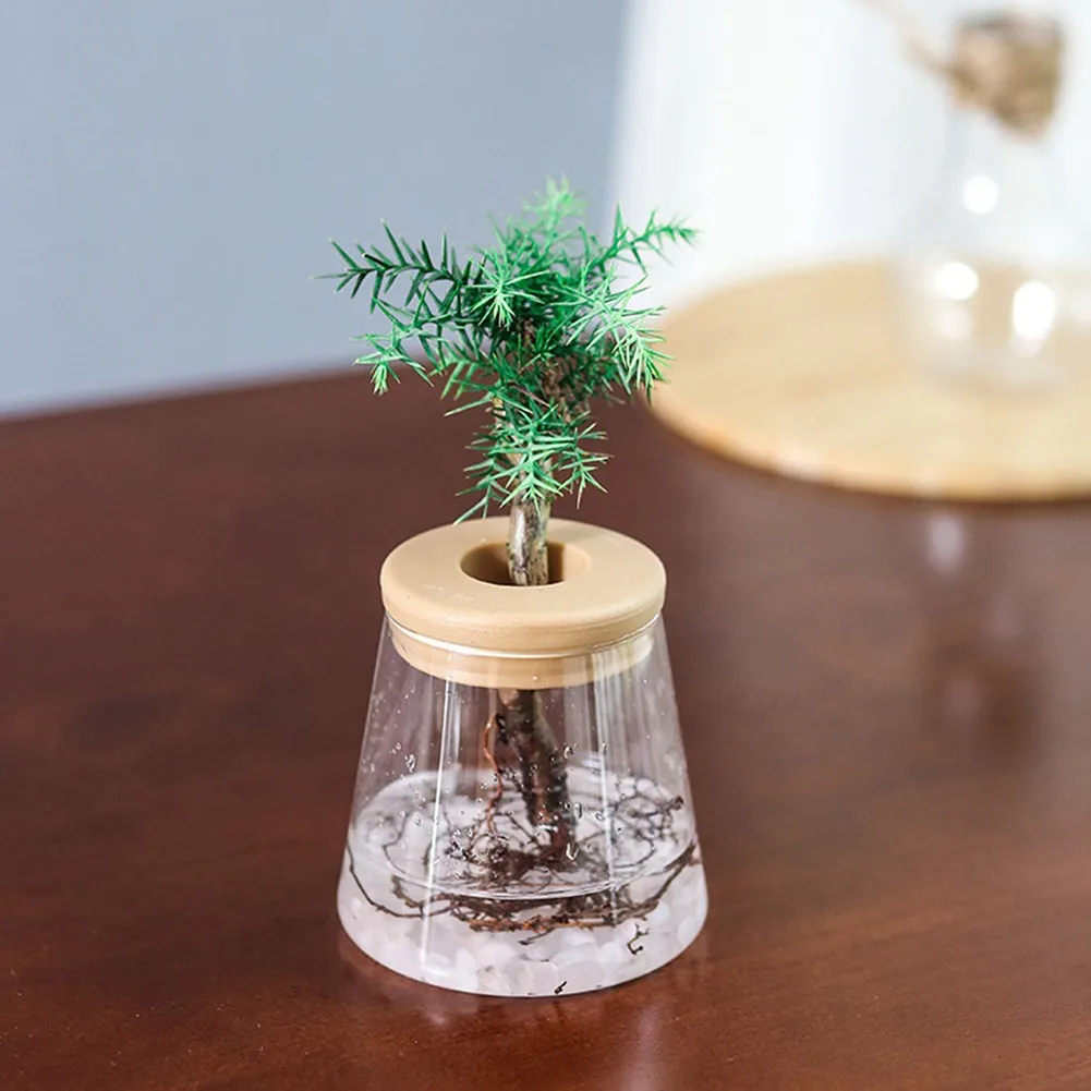 2pcs Small Potted Green Plant Resin Small Flowerpot Transparent Vases Are Water-saving Drought Resistant And Transparent
2pcs Small Potted Green Plant Resin Small Flowerpot Transparent Vases Are Water-saving Drought Resistant And Transparent