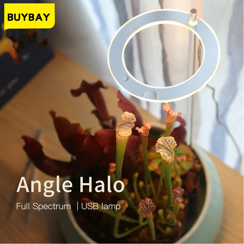 LED Grow Light Full Spectrum Angel Ring Plant Growth Lamp Phytolamp For Plants Lamp For Plants Growth Lighting For Indoor Plant
LED Grow Light Full Spectrum Angel Ring Plant Growth Lamp Phytolamp For Plants Lamp For Plants Growth Lighting For Indoor Plant