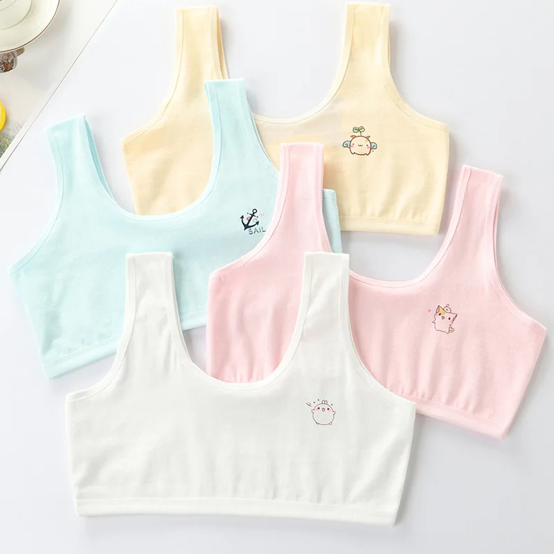 Development Period Underwear Girl Pure Cotton Vest Young Girl Junior High School Girl 12 Years Tube Top Adolescente Bra for Kid
Development Period Underwear Girl Pure Cotton Vest Young Girl Junior High School Girl 12 Years Tube Top Adolescente Bra for Kid