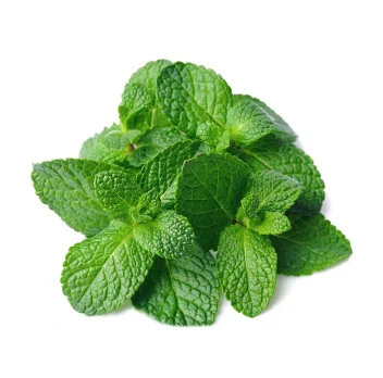 Hokkaido specialty products, universal peppermint oil ,Refreshing, repelling mosquitoes, relieving headache and toothache 10ml
Hokkaido specialty products, universal peppermint oil ,Refreshing, repelling mosquitoes, relieving headache and toothache 10ml