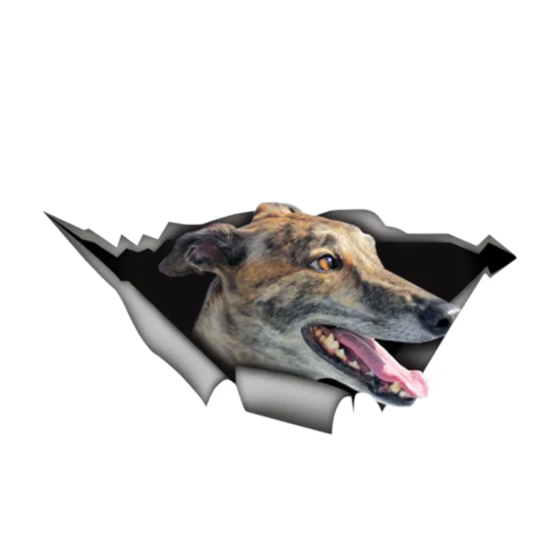 13cm Greyhound Funny StickerTorn Metal Decal Wild Animal Funny Car Stickers Window Bumper 3D Car Styling 
13cm Greyhound Funny StickerTorn Metal Decal Wild Animal Funny Car Stickers Window Bumper 3D Car Styling