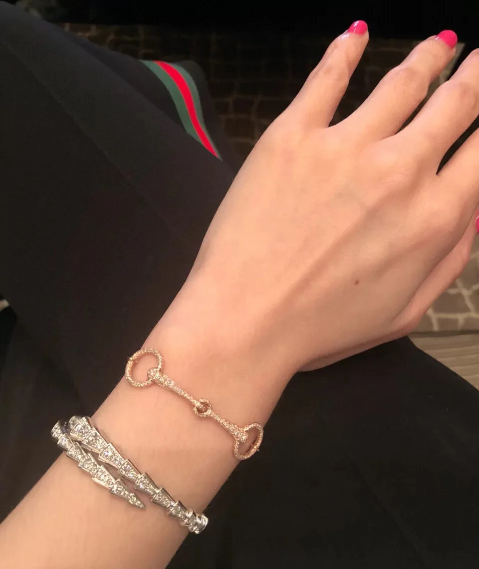 Fashion Luxury Designer Original Brand Jewelry Crystal Bangles Classic Sparkling Snake Bone Cuff Bracelet Women Holiday Gift
Fashion Luxury Designer Original Brand Jewelry Crystal Bangles Classic Sparkling Snake Bone Cuff Bracelet Women Holiday Gift