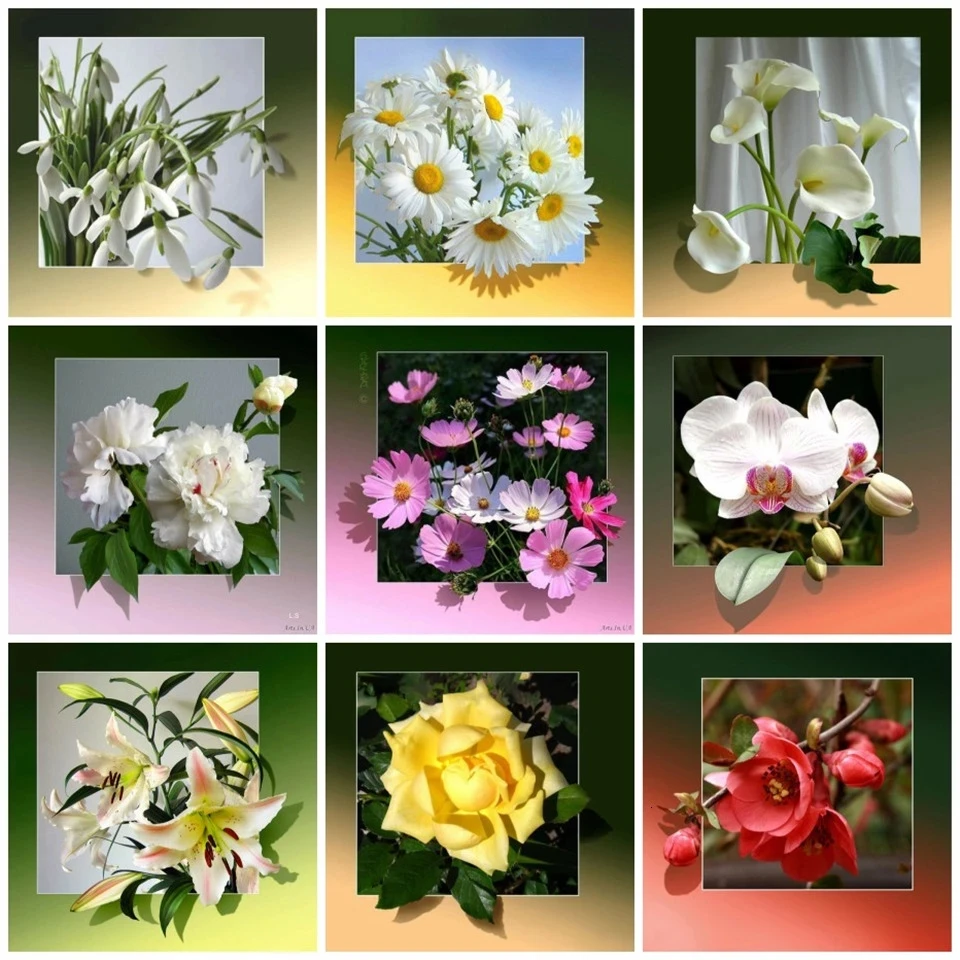 ARMYQZ Diamond Painting Flower Cross Stitch Handmade 5d Embroidery Sale Full Drill Diamond Art Daisy Diy Rhinestones Home Decor
ARMYQZ Diamond Painting Flower Cross Stitch Handmade 5d Embroidery Sale Full Drill Diamond Art Daisy Diy Rhinestones Home Decor