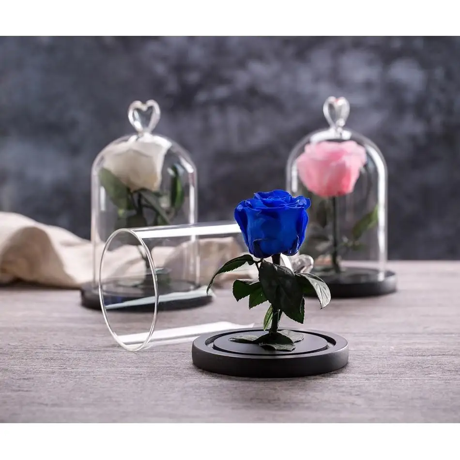 

BASSAC Beauty And The Beast Preserved Valentines Day Gift Exclusive Dome Lights Eternal Real Rose Mother's Day Gif