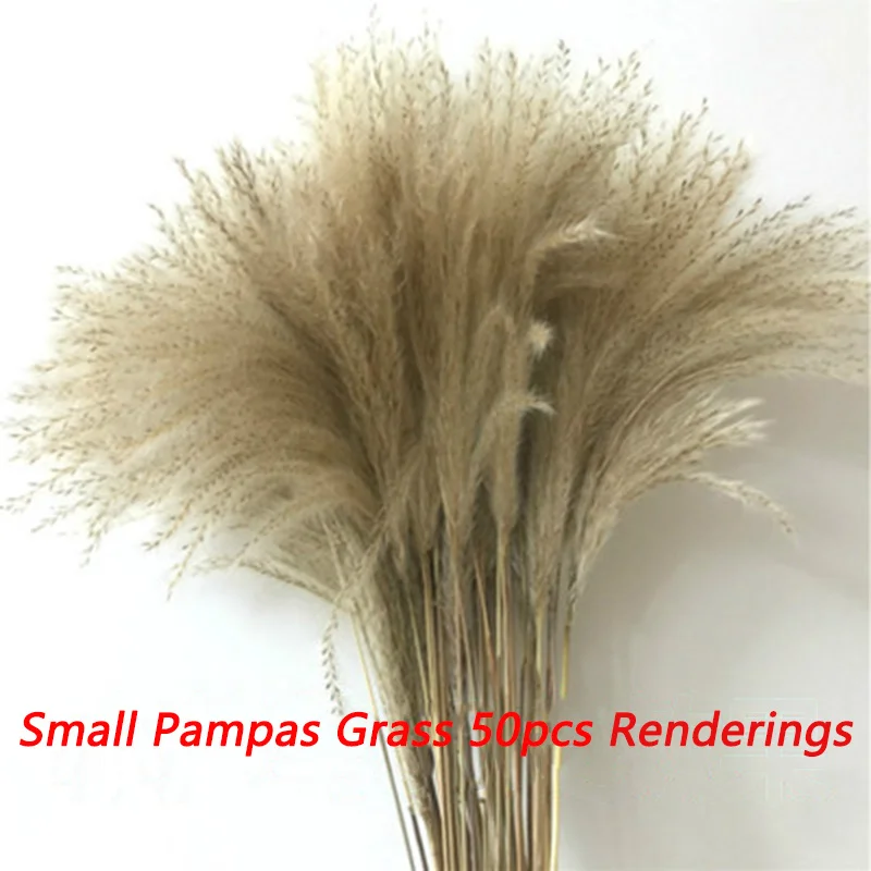 50pcs Real Dried Small Pampas Grass Wedding Flower Bunch Natural Plants Decor Home Decor Dried Flowers Free Shipping
50pcs Real Dried Small Pampas Grass Wedding Flower Bunch Natural Plants Decor Home Decor Dried Flowers Free Shipping