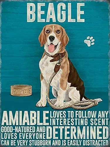 Забавная металлическая винтажная Оловянная вывеска Beagle Dog, настенное украшение для кафе, кафе, баров, ресторанов, пабов, мужская декоративна...
Забавная металлическая винтажная Оловянная вывеска Beagle Dog, настенное украшение для кафе, кафе, баров, ресторанов, пабов, мужская декоративна...