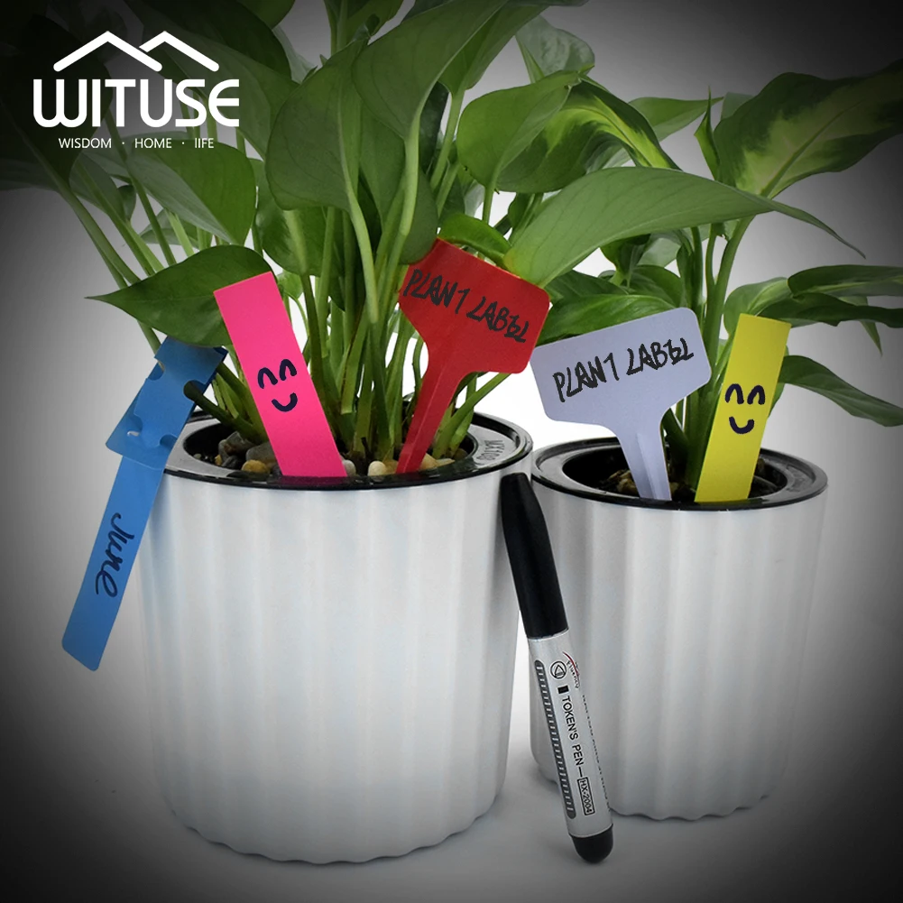 300pcs 3 Type Garden Tags Nursery Waterproof Soil Flower Labels Thick Tag Seedings Plastic Tray Pots Plant Mark Tree Succulent
300pcs 3 Type Garden Tags Nursery Waterproof Soil Flower Labels Thick Tag Seedings Plastic Tray Pots Plant Mark Tree Succulent