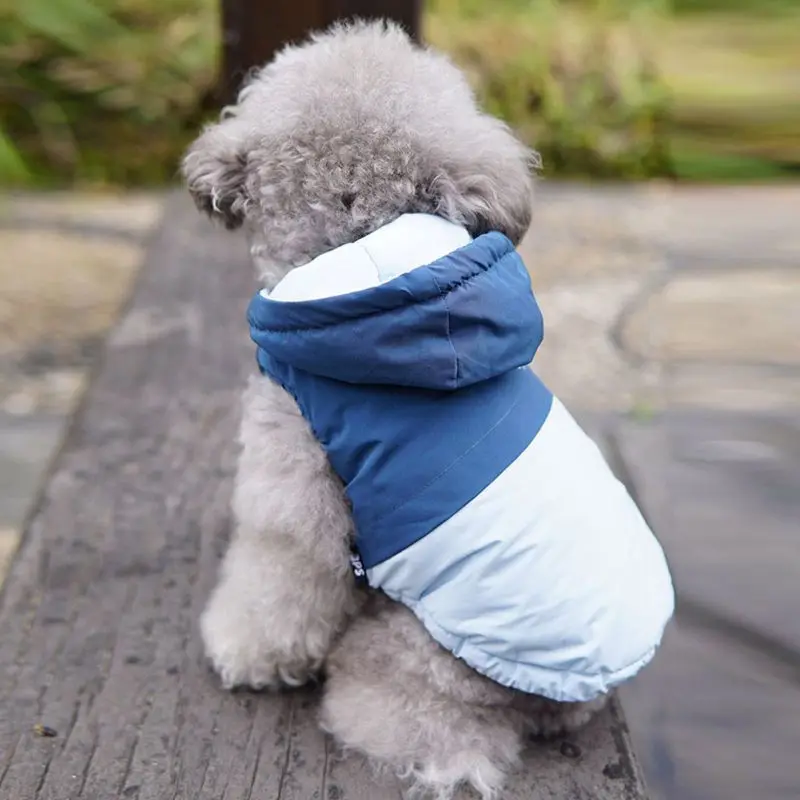 Зимняя теплая одежда для домашних животных для собак и кошек, водонепроницаемое пальто с капюшоном для собак, куртка для щенков, одежда для ...
Зимняя теплая одежда для домашних животных для собак и кошек, водонепроницаемое пальто с капюшоном для собак, куртка для щенков, одежда для ...