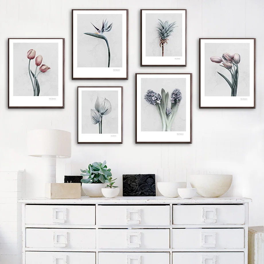 Strelitzia Hyacinth Anthurium Agave Tulip Wall Art Canvas Painting Nordic Posters And Prints Wall Pictures For Living Room Decor
Strelitzia Hyacinth Anthurium Agave Tulip Wall Art Canvas Painting Nordic Posters And Prints Wall Pictures For Living Room Decor