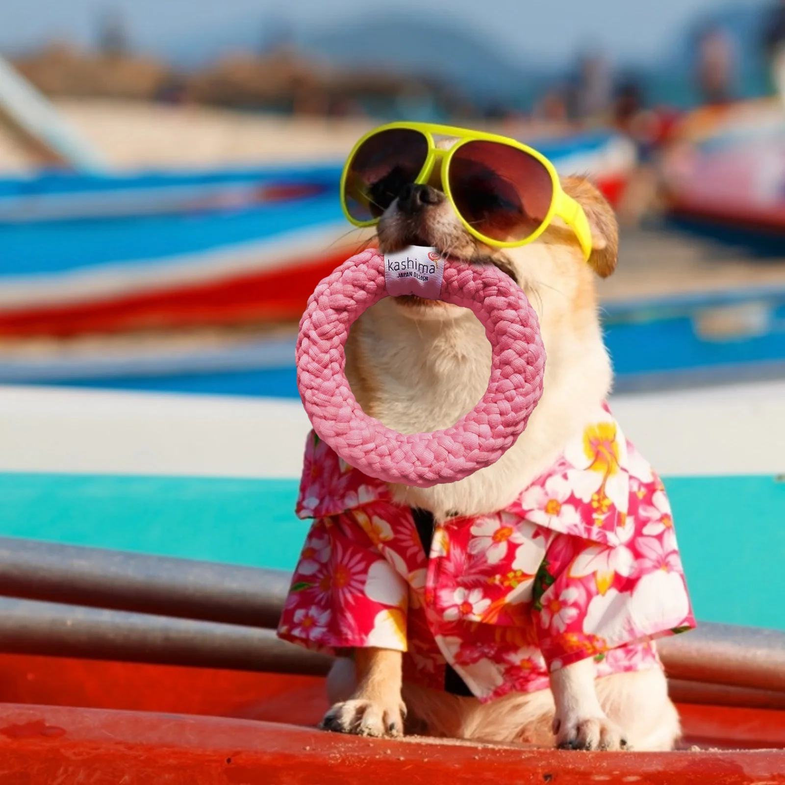 Three Colors Dog Rope Doughnut Cotton Rope Bite Pet Rope Toy Chew Toy For Training Pet Accessories
Three Colors Dog Rope Doughnut Cotton Rope Bite Pet Rope Toy Chew Toy For Training Pet Accessories