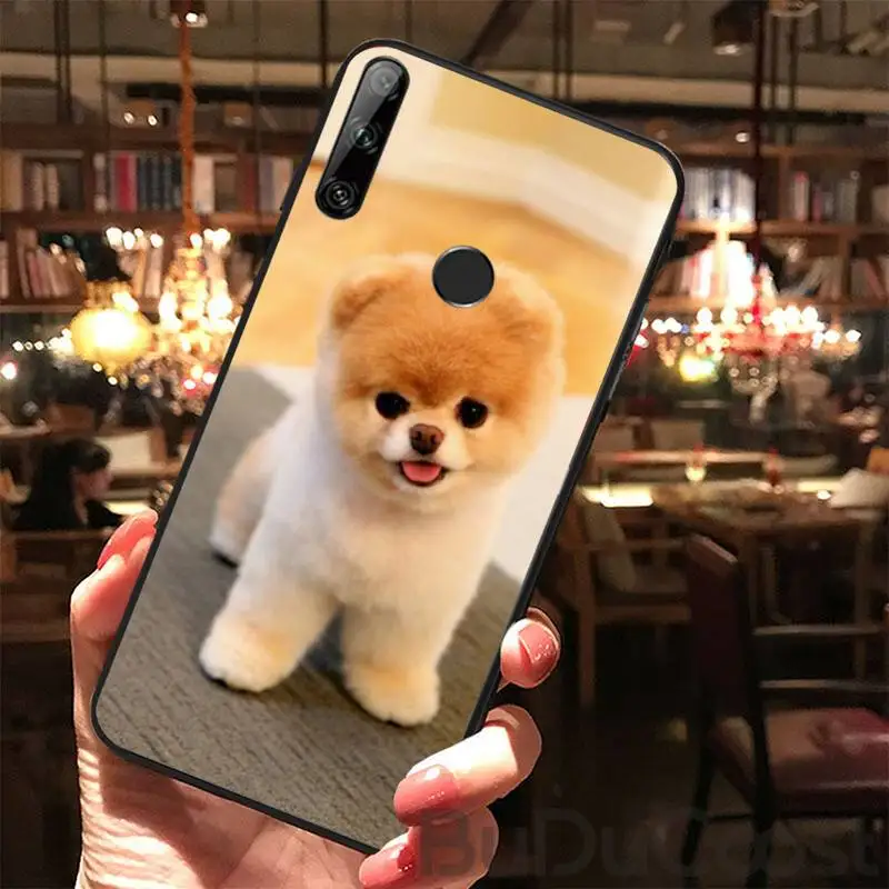 CUCI Pomeranian dogs dog Phone Case for Huawei Y5 II Y6 II Y5 Y6 Y7Prime Y9 2018 2019
CUCI Pomeranian dogs dog Phone Case for Huawei Y5 II Y6 II Y5 Y6 Y7Prime Y9 2018 2019