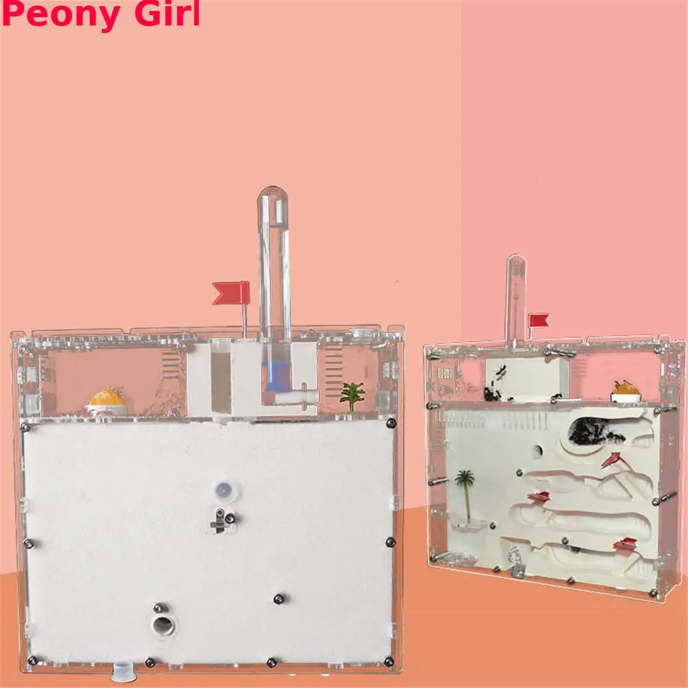 Expandable Ant Castle Four-story Ant Farm Room Double-sided Pet Workshop Sand Castle Home Kingdom Sand Soil Nest Queen Ant
Expandable Ant Castle Four-story Ant Farm Room Double-sided Pet Workshop Sand Castle Home Kingdom Sand Soil Nest Queen Ant