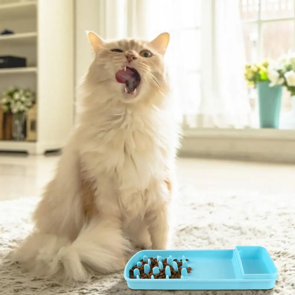 Миска-Кормушка для щенков, 1 шт.
Миска-Кормушка для щенков, 1 шт.