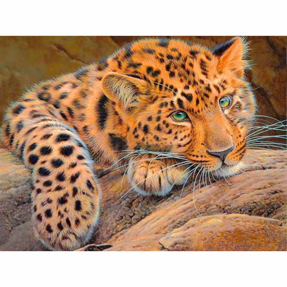 Full Square/Round Diamond 5D DIY Diamond Painting "Animal Leopard" 3D Embroidery Cross stitch 5D Home Decoration Mozaiek gift
Full Square/Round Diamond 5D DIY Diamond Painting "Animal Leopard" 3D Embroidery Cross stitch 5D Home Decoration Mozaiek gift