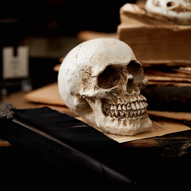 1:1Simulation Skull Model Home Decoration Accessories Decor Halloween Figurines Resin Crafts Desktop Modern Collection Ornaments
1:1Simulation Skull Model Home Decoration Accessories Decor Halloween Figurines Resin Crafts Desktop Modern Collection Ornaments