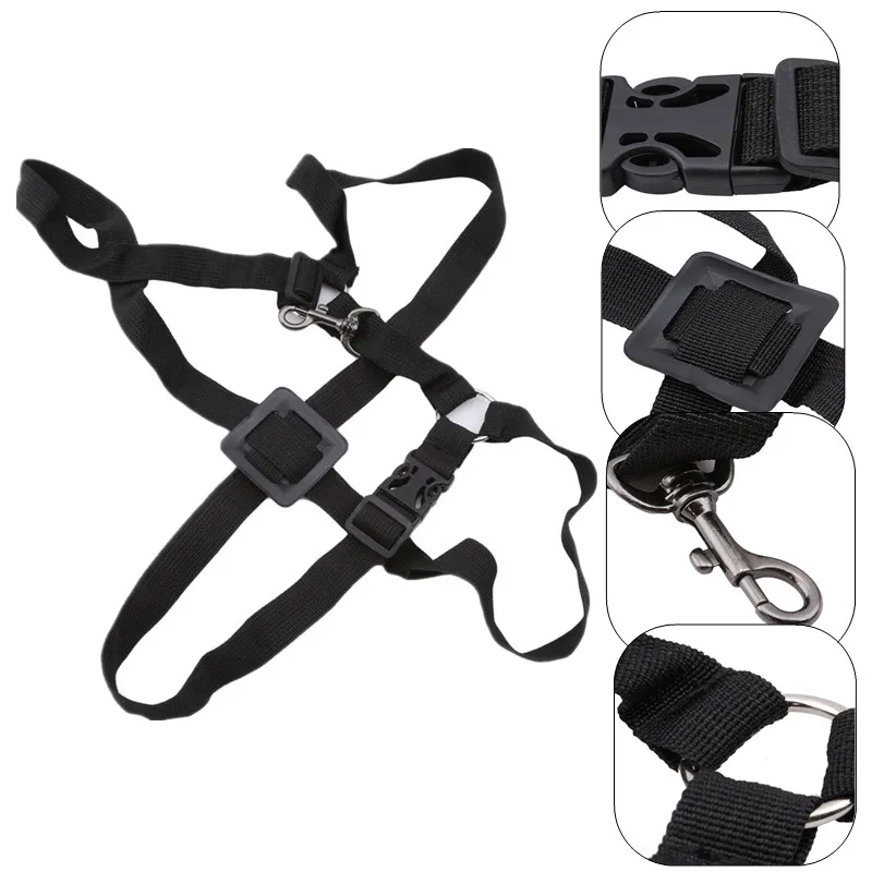 Professional Adjustable Harness Shoulder Black Sax Saxophone Belt Neck Strap for Alto / Tenor / Soprano Saxophone Accessories
Professional Adjustable Harness Shoulder Black Sax Saxophone Belt Neck Strap for Alto / Tenor / Soprano Saxophone Accessories