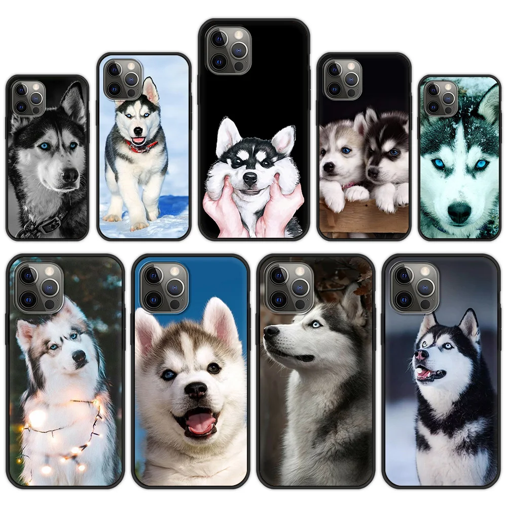 Alaskan Husky Dog Cute Puppy Case for iPhone 13 11 12 13 Pro Max Phone Cover for iPhone 7 8 Plus SE2020 X XR XS Max Luxury Shell
Alaskan Husky Dog Cute Puppy Case for iPhone 13 11 12 13 Pro Max Phone Cover for iPhone 7 8 Plus SE2020 X XR XS Max Luxury Shell