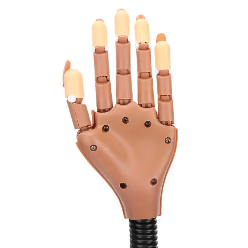 Press On Nails Fake Nails Flexible Movable False Fake Hands Nail Art Manicure Practice Hand with Nail Tips Nail Art
Press On Nails Fake Nails Flexible Movable False Fake Hands Nail Art Manicure Practice Hand with Nail Tips Nail Art
