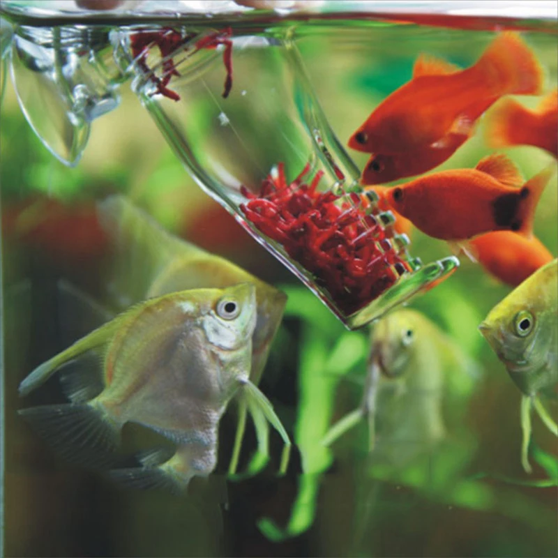 Fish Tank Feeder Red Worm Feeding Cup Acrylic Pants-shaped Feeder Aquarium Supplies
Fish Tank Feeder Red Worm Feeding Cup Acrylic Pants-shaped Feeder Aquarium Supplies