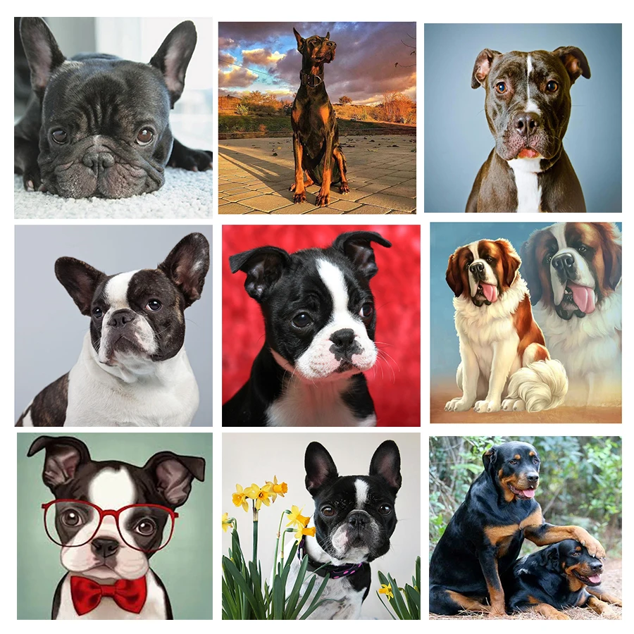 Алмазная живопись, полноразмерная/круглая вышивка, распродажа, французский бульдог, 5D алмазная живопись, вышивка крестиком, кристальная мозаика, картина
Алмазная живопись, полноразмерная/круглая вышивка, распродажа, французский бульдог, 5D алмазная живопись, вышивка крестиком, кристальная мозаика, картина