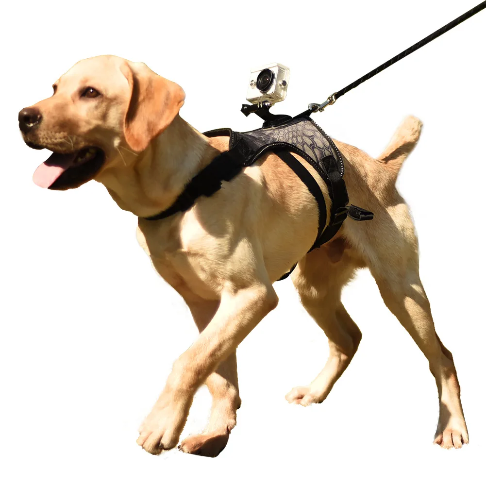 Dog sports camera with GoPro stabilizer pet dog chest back sports camera fixed shoulder strap puppy accessories 
Dog sports camera with GoPro stabilizer pet dog chest back sports camera fixed shoulder strap puppy accessories