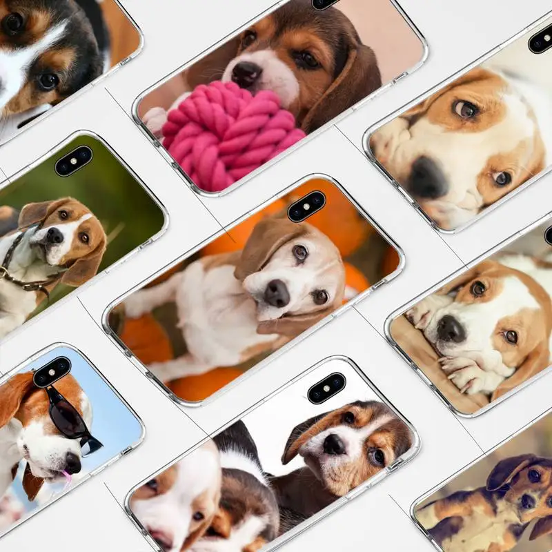 I love Beagle Dogs text cute animal Phone Case for iphone 6s 7 8plus xr xs max 11 12 pro max mini clear cover
I love Beagle Dogs text cute animal Phone Case for iphone 6s 7 8plus xr xs max 11 12 pro max mini clear cover
