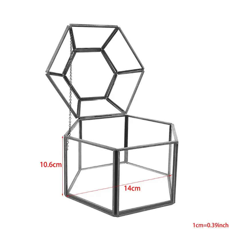 2020 Clear Glass & Brass-Tone Metal Hinged Top Lid Terrarium Box/Tabletop Display Case
2020 Clear Glass & Brass-Tone Metal Hinged Top Lid Terrarium Box/Tabletop Display Case