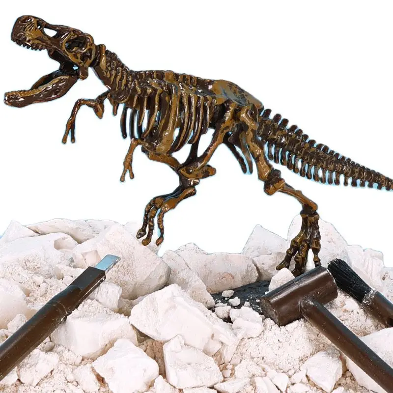 Simulation Dinosaur Archeological Fossil Toy Excavation Animal Skeleton Stitching Model Decoration Tyrannosaurus for Kid BoyGift
Simulation Dinosaur Archeological Fossil Toy Excavation Animal Skeleton Stitching Model Decoration Tyrannosaurus for Kid BoyGift