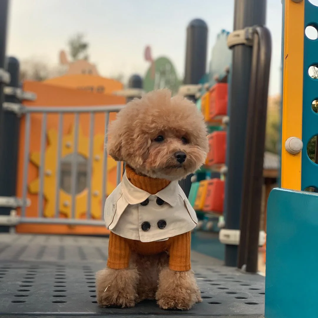 

Fashion British Style Dog Cloak Windbreaker Teddy Corgi French Bulldog Pet Dog Bib Pet Clothing Cape Pets Costume Trench