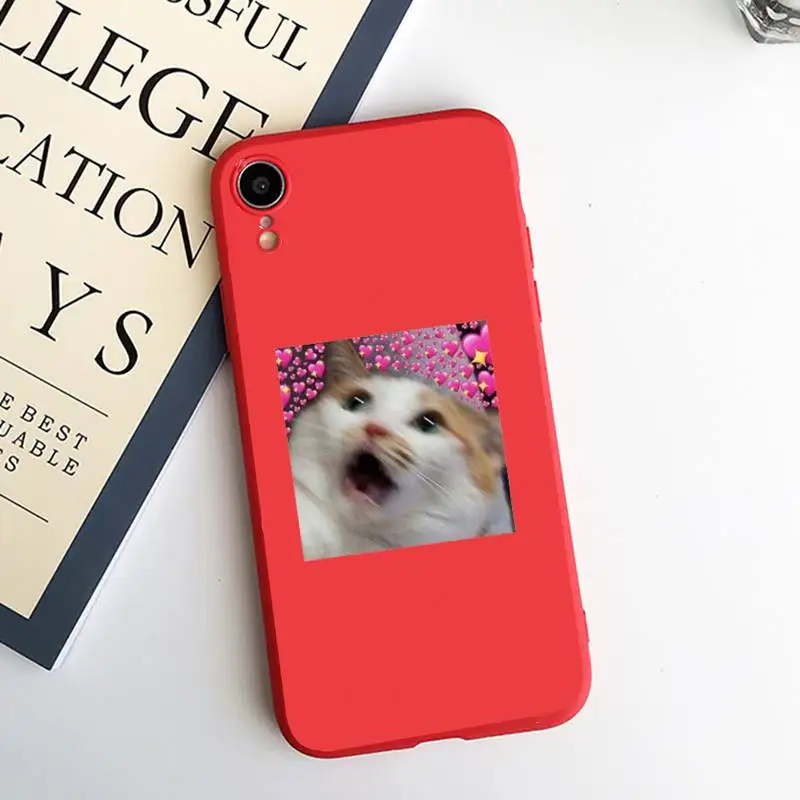 cat cute animal aesthetics Phone Case Candy Color for iPhone 6 7 8 11 12 s mini pro X XS XR MAX Plus
cat cute animal aesthetics Phone Case Candy Color for iPhone 6 7 8 11 12 s mini pro X XS XR MAX Plus