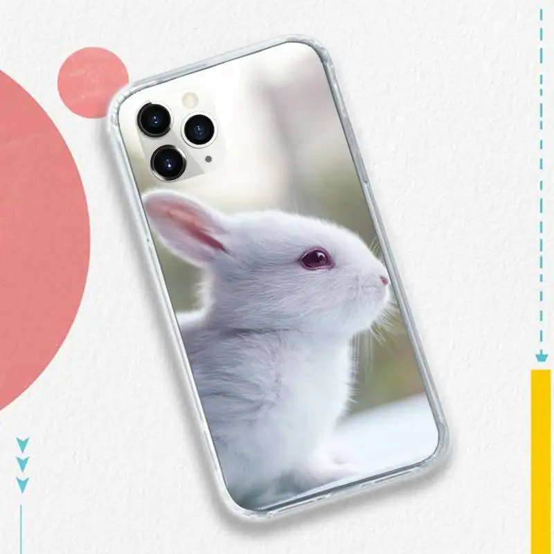 rabbit cute animal Phone Case for iPhone 11 12 pro XS MAX 8 7 6 6S Plus X 5S SE 2020 XR
rabbit cute animal Phone Case for iPhone 11 12 pro XS MAX 8 7 6 6S Plus X 5S SE 2020 XR