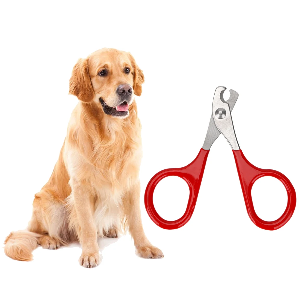 Pet Products Pet Accessories Pet Claw Care Tools Claw Clippers Dog Scissors For Nails Cat Cleaning Tools Dog Supplies
Pet Products Pet Accessories Pet Claw Care Tools Claw Clippers Dog Scissors For Nails Cat Cleaning Tools Dog Supplies